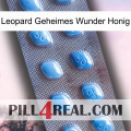 Leopard Secret Miracle Honey viagra3